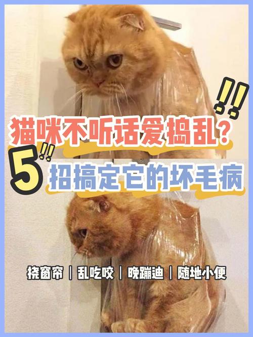 小猫吃坏东西了没精神怎么办？（养猫坏）