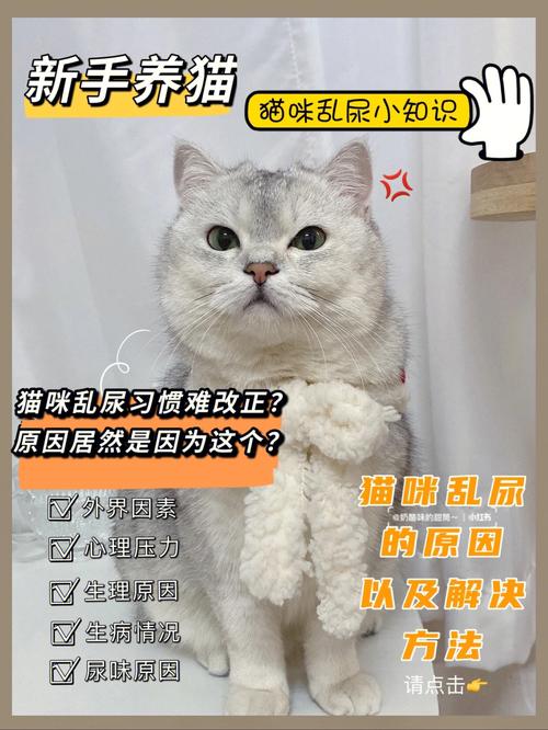 怎么去猫尿的黄渍？（养猫黄）