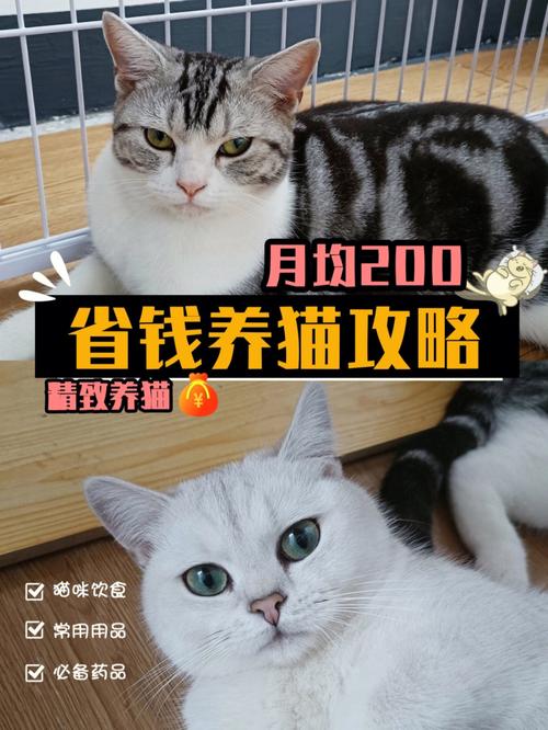 养10只猫一年的利润？（养猫赚）