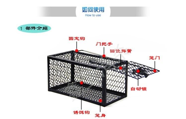 家庭灭鼠方法？（养猫丸）