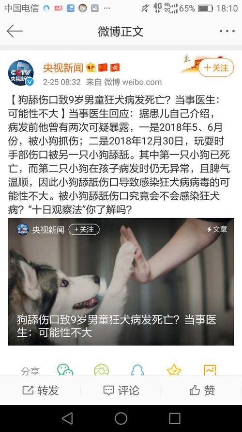 养狗可能得狂犬病，为什么还这么多人养，原因有6点？（大疯养狗）