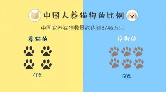 养猫养狗规定？（养猫国）