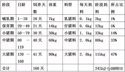 养猪一个月要吃多少饲料？（生猪每天多少饲料）