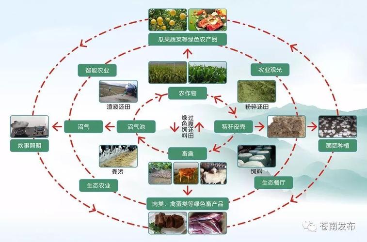 常见的生态循环农业模式？（循环生猪养殖）