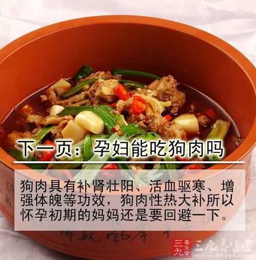 狗会吃狗肉吗？（养肉狗禁忌）