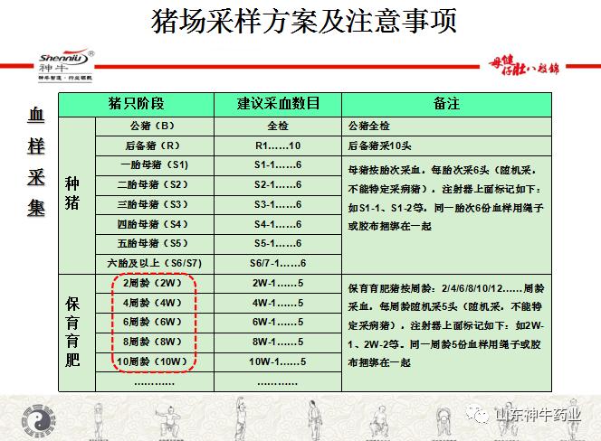 猪场自由采食正确方法？（防疫及消费生猪）