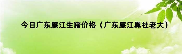 广东湛江廉江市生活水平怎么样？（廉江生猪今日价格）