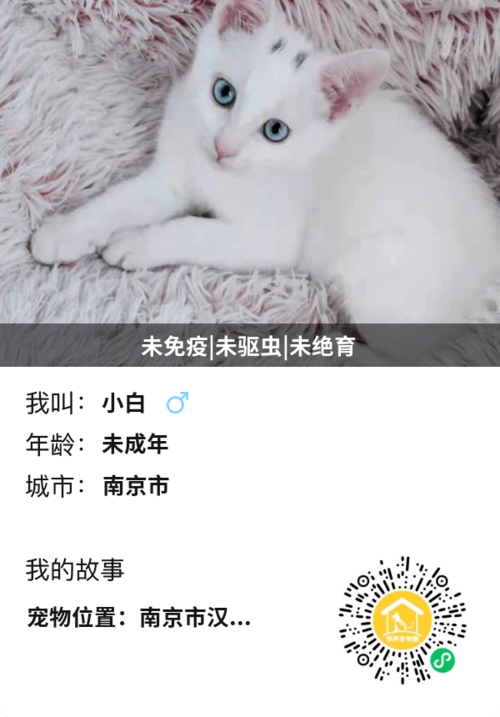 南京市领养孩子规定？（上海领养猫南京）