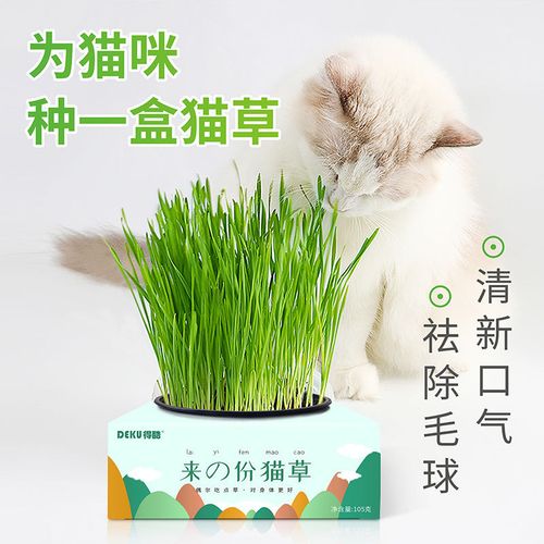 十种猫草？（贱养猫）