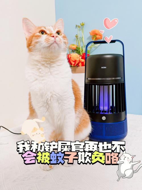 养猫可以点驱蚊液吗？（家里养猫驱蚊）