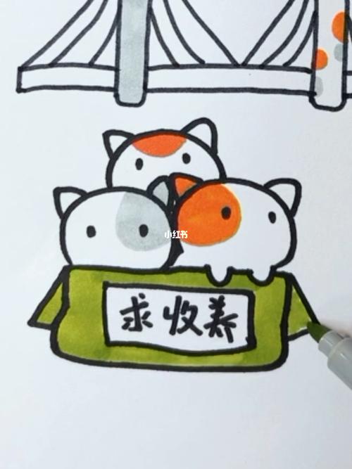 三年级的植物认养卡怎么做？（领养猫咪简笔画）