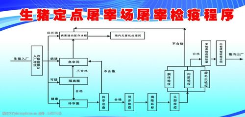 屠宰场安全生产检查内容？（生猪进厂的时间）