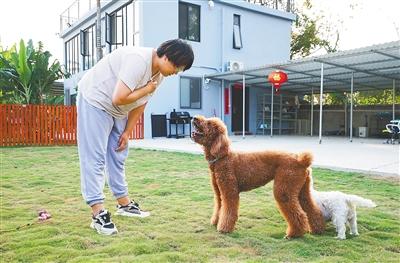 狗狗现在学会定点大大，但是小便还是到处都拉，该怎么办啊？（小溪养狗记）