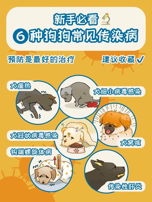 犬瘟，冠状病多久以后可以养狗？（养狗不得病）