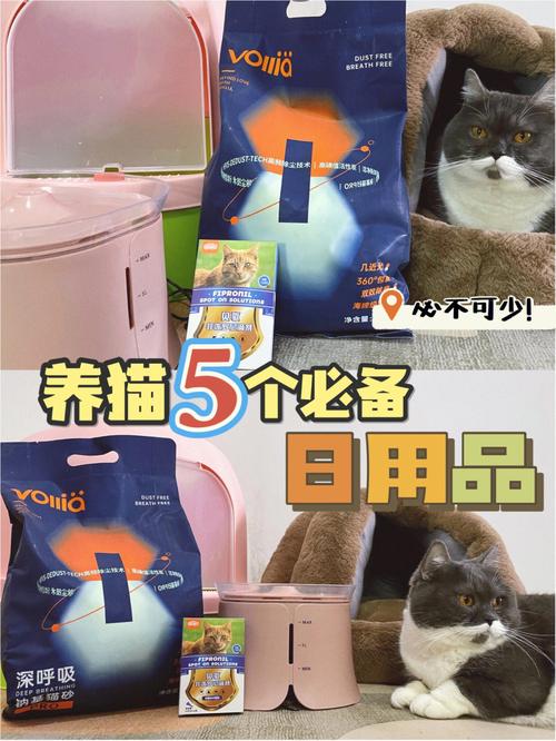 猫咪洗护用品推荐？（养猫壶）