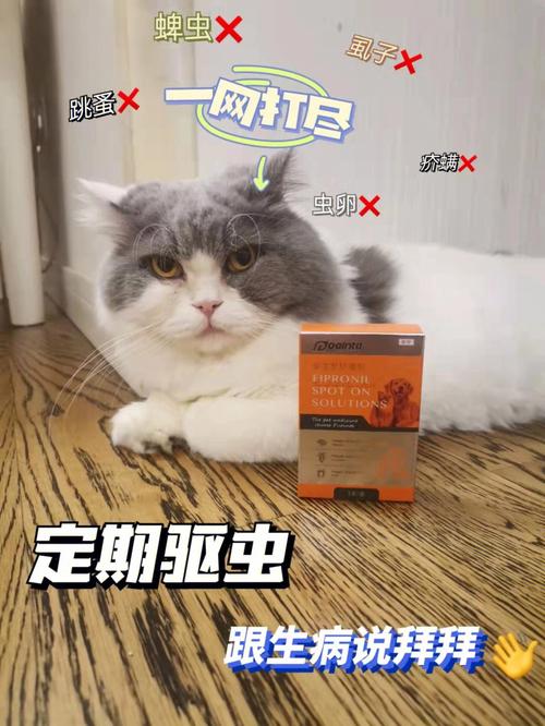 猫咪驱虫自己做好还是去宠物店？（领养猫猫驱虫）