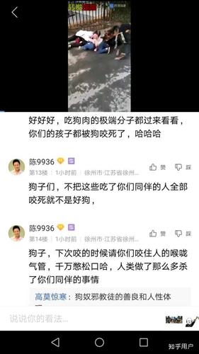 如何评价爱狗人士？（养狗跑偏了）