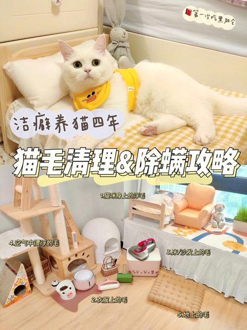 养猫怎么除螨？（养猫粥）