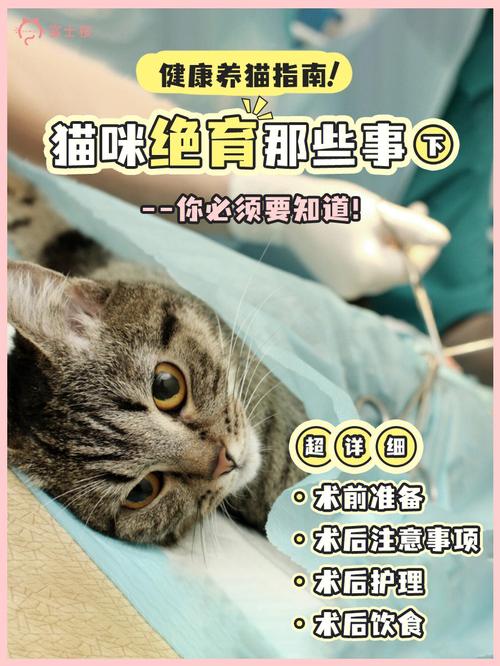 猫咪是做绝育手术好还是让它交配好？（加养猫还是）