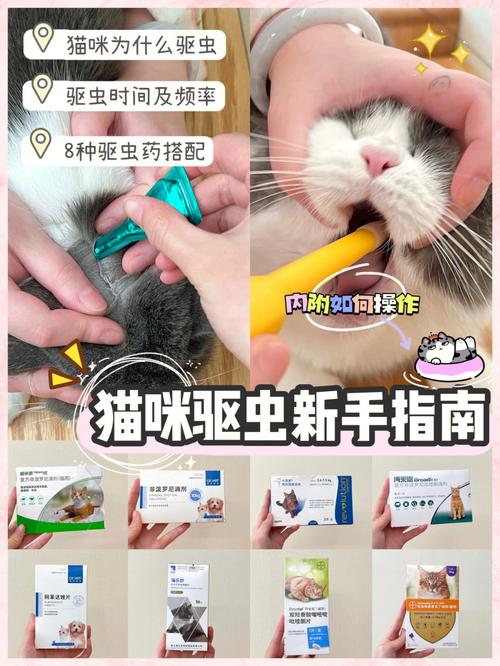 养猫房间里有小飞虫怎么办？（养猫家庭驱蚊推荐）