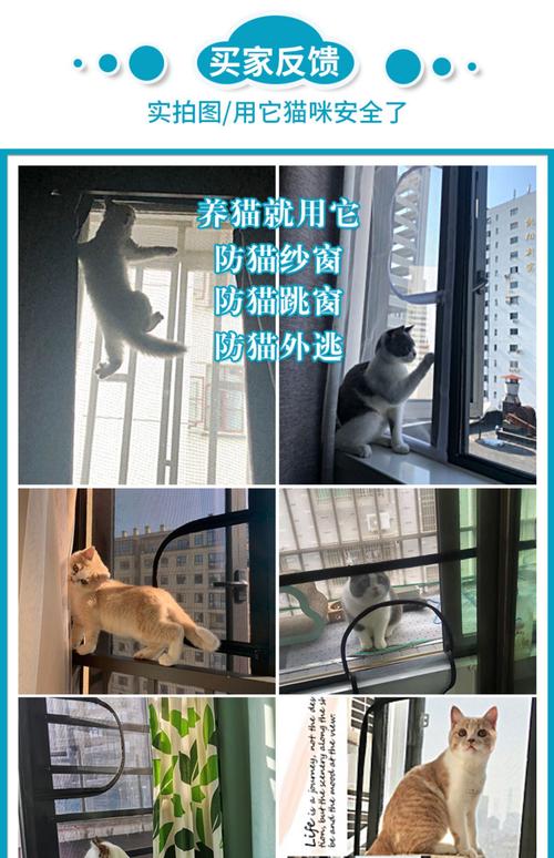 养猫家庭如何正确驱蚊？（养猫纱窗安装）