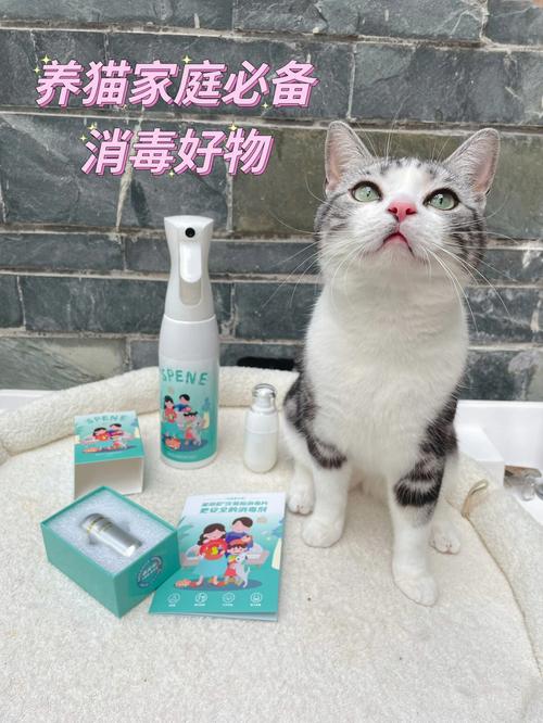 卧室消毒杀菌用什么好？（卧室养猫消毒）