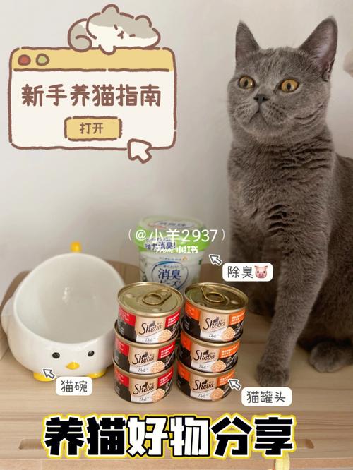 养猫实用好物？（养猫好物体验）