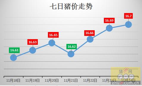 今日猪价最新预测走势一个月？（近期生猪走势 分析）