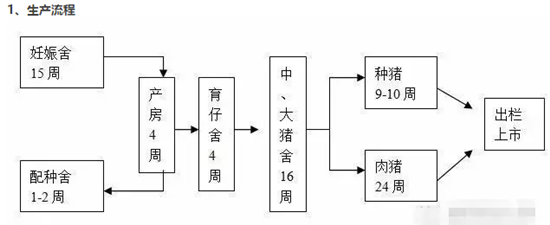 猪场管理思路及方案？（生猪饲养管理规程）