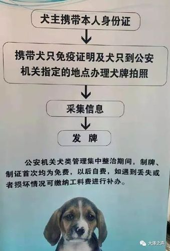 补办狗证最快方法？（吊销养狗证）