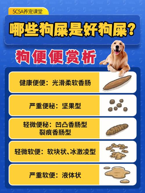 粑粑是什么东西？（牛不宜养狗）