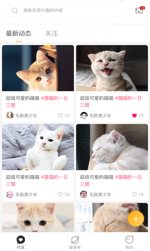 云养猫怎么投喂？（云养猫品种）