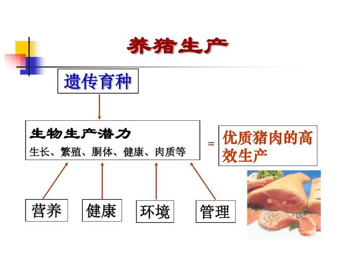 动物遗传育种与繁殖的介绍？（生猪遗传改良技术）