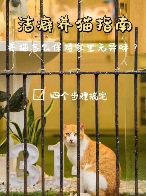 家里养猫如何保持卫生干净？（洁癖养猫消毒）