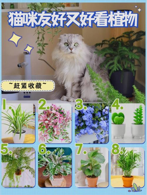 对猫咪无害的绿植物？（杜鹃花怎么养猫咪）