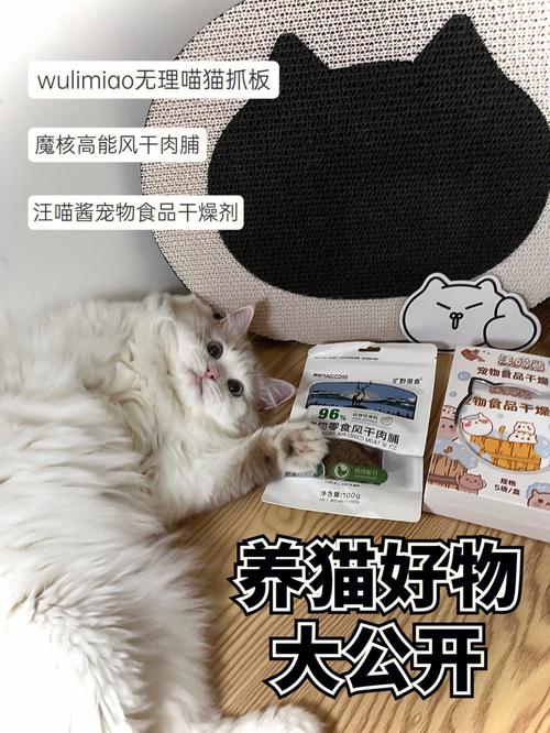 养猫好物推荐？（后悔养猫好物）