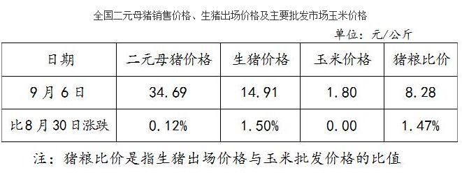 宝迪肉是哪儿的？（天津屠宰生猪报价）