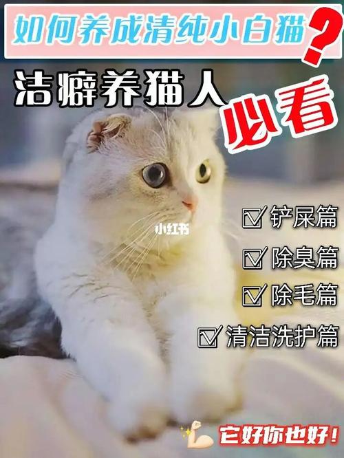 养大宠物的文案？（攻洁癖养猫文案）