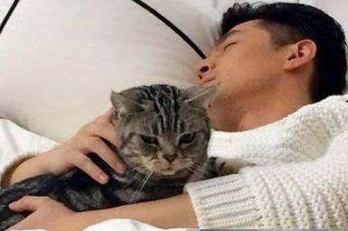 为什么说男人养猫不好？（男不能养猫）