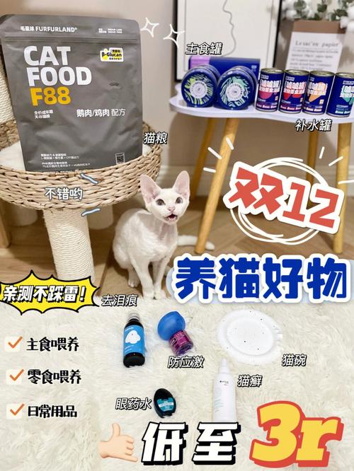 养猫好物推荐？（加养猫必备好物）