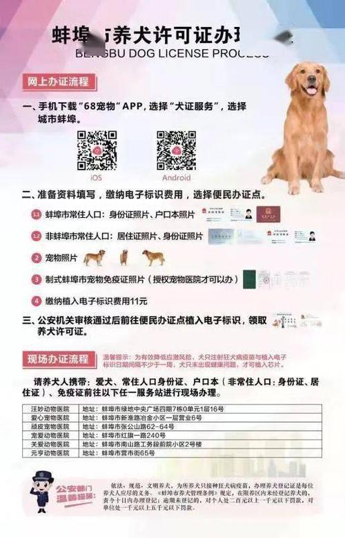 养犬证要狗狗多大才可以办理？（养狗证多久）