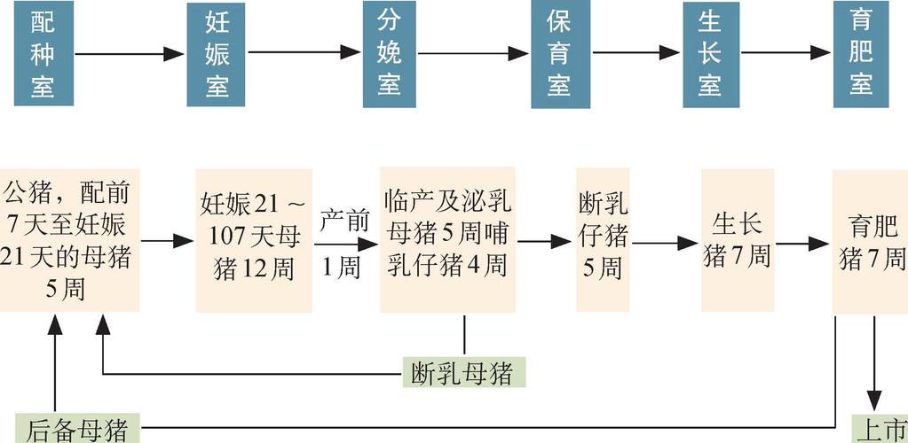 猪场28天批次生产管理流程？（出生猪仔管理）