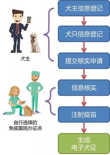 昆明养狗要办理什么证件?要注意什么问题？（昆明想养狗）