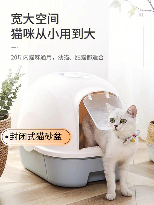 养猫家里的物品需要收起来吗？（养猫家庭必备杯子）