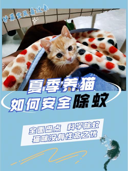 养猫夏天怎么驱蚊？（夏天生的想养猫）