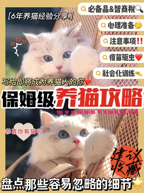 让妈妈同意养猫的理由？（加养猫攻略吧哥哥）