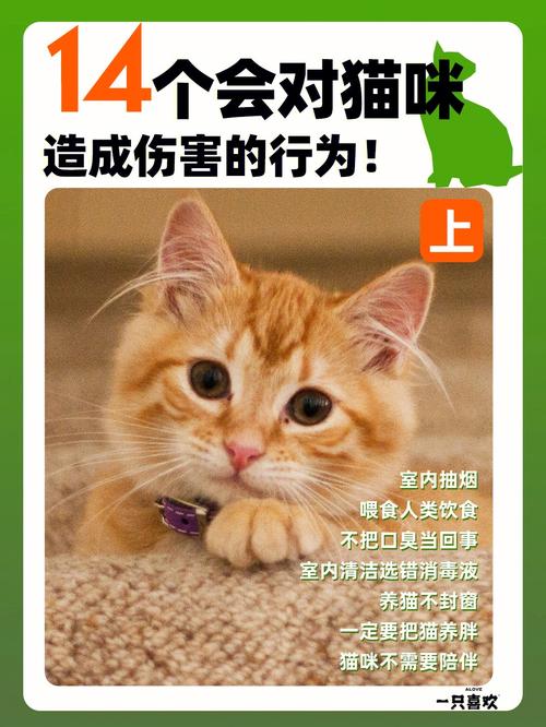 小孩玩邻居的猫被咬谁的责任？（养猫咬了人谁的责任）