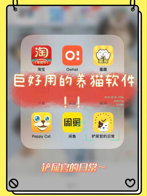 有没有什么养猫之类的app求推荐？（加养猫必备app）