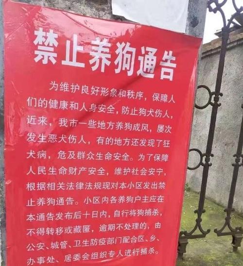 小区车库养狗的违法吗？（青岛禁养狗小区）