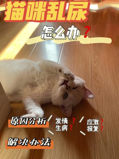 非常讨厌猫怎么办？（养猫啪）